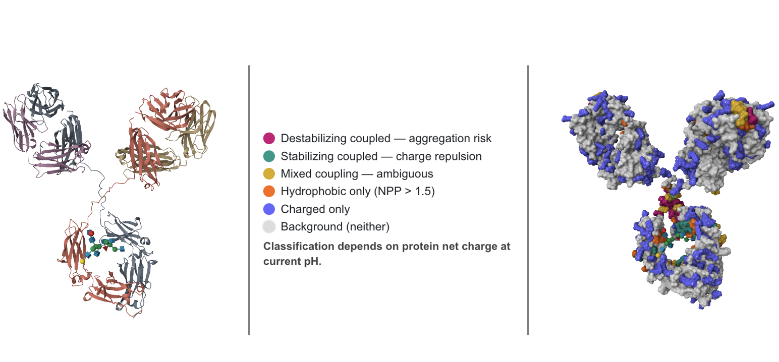 Boltz Predict — monoclonal antibody ribbon structure with glycans
